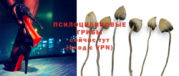 альфа пвп Нея